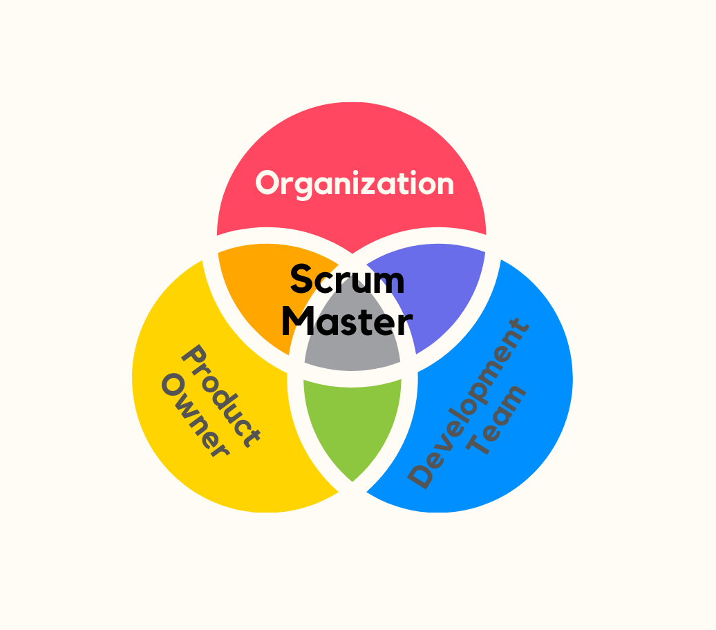 Les Roles chez LiptonFit Scrum Master